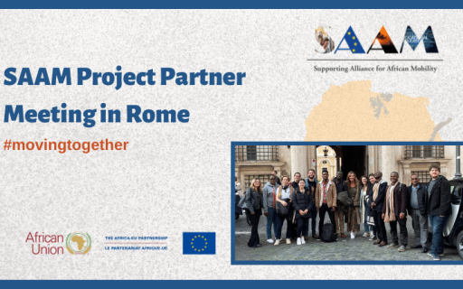 SAAM Project Partner Meeting in Rome: presenting the progress of the work packages and planning the next year