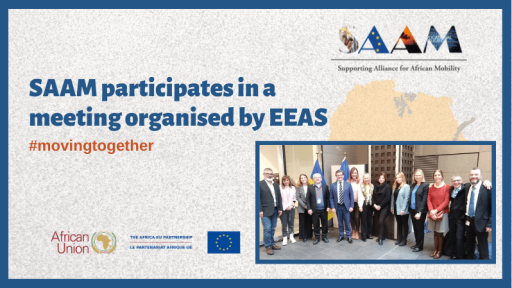 SAAM participates in a meeting organised by EEAS to present the project achievements and the challenges encountered