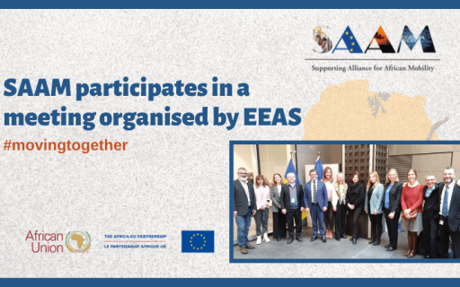 SAAM participates in a meeting organised by EEAS to present the project achievements and the challenges encountered