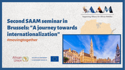 The project SAAM organizes a seminar in Brussels to teach partners how to define an international strategy