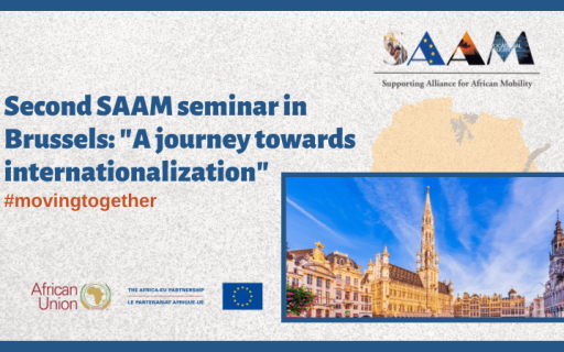 The project SAAM organizes a seminar in Brussels to teach partners how to define an international strategy